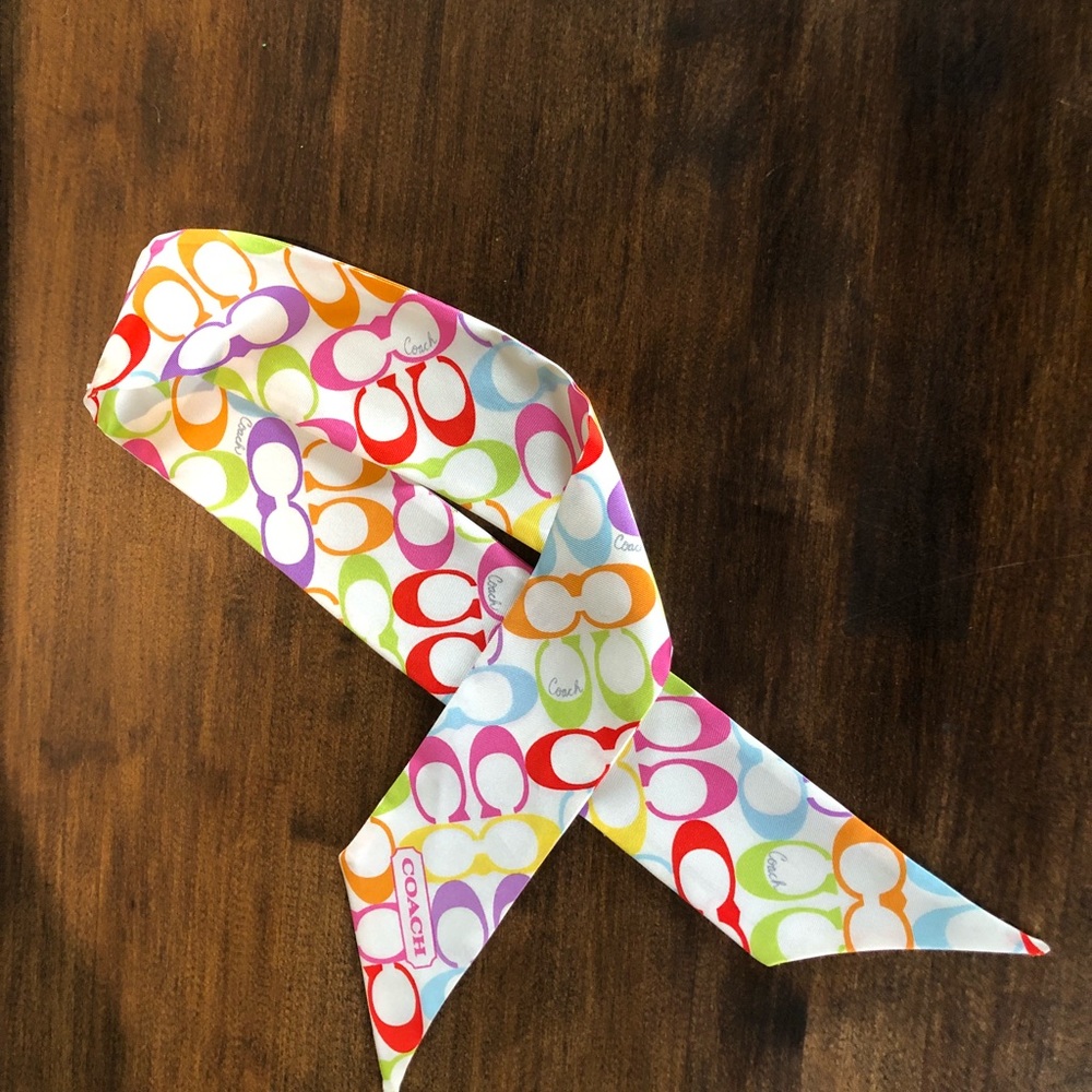 Coach Rainbow Ponytail Scarf